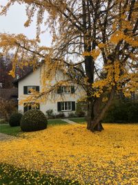 Villa Sutter im Herbst